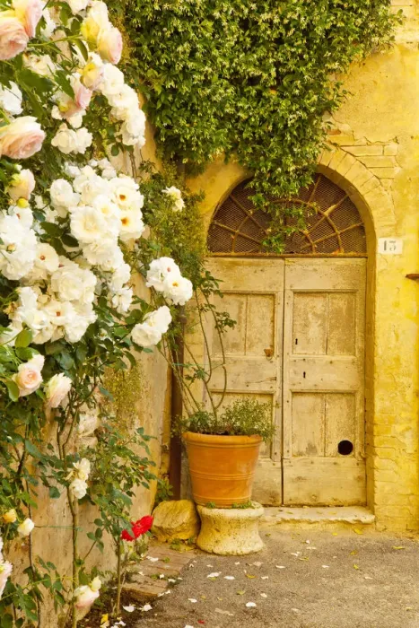 Framed Print : Roses & Door, Lucignano d Asso, Tuscany, Italy Framed Print : Roses & Door, Lucignano d Asso, Tuscany, Italy