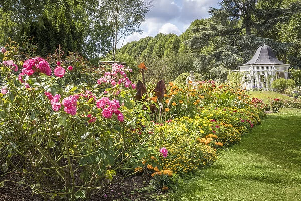 Roses and perennials in the rose garden of Zweibrücken, Rhineland-Palatinate, Germany