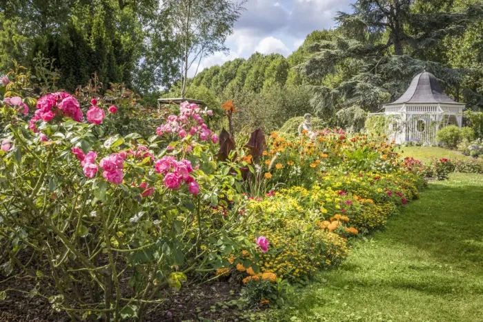 Framed Print : Roses and perennials in the rose garden of Zweibrücken, Rhineland-Palatinate, Germany Framed Print : Roses and perennials in the rose garden of Zweibrücken, Rhineland-Palatinate, Germany