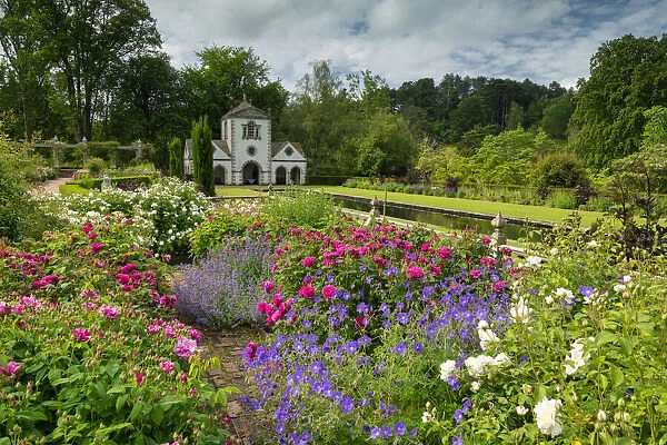 Roses & The Pin Mill, Bodnant Gardens, near Tal-y-Cafn, Conwy, Wales