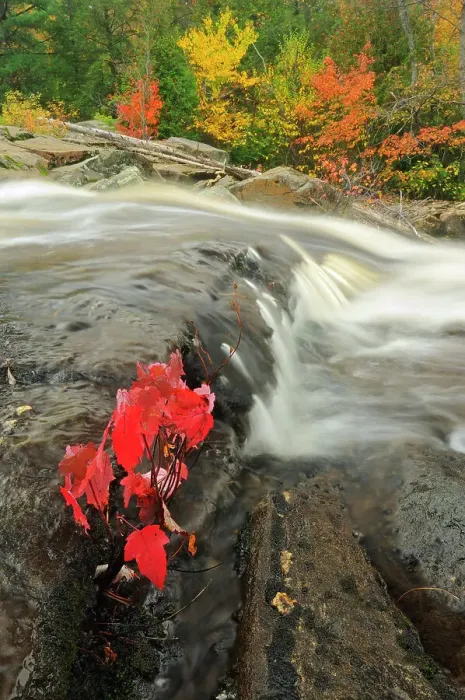 Framed Print : Rosseau Falls Rosseau, Ontario, Canada