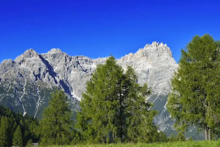 Framed Print : Rotwandwiesen before Dreischusterspitze, Alta Pusteria, Sexten Dolomites, South Tyrol Framed Print : Rotwandwiesen before Dreischusterspitze, Alta Pusteria, Sexten Dolomites, South Tyrol