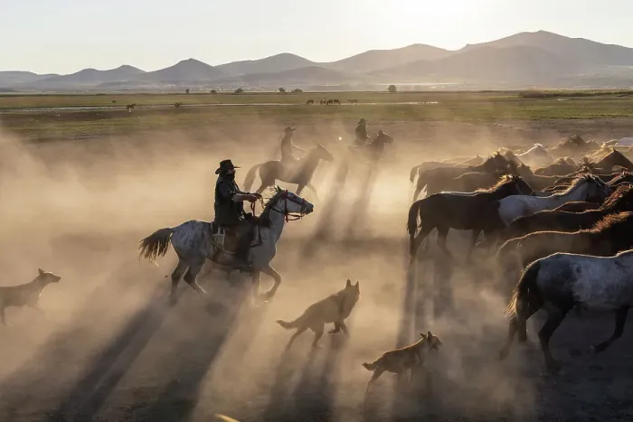 Framed Print : Rounding up Yilki horses, Cappadocia, Nevsehir Province, Central Anatolia, Turkey Framed Print : Rounding up Yilki horses, Cappadocia, Nevsehir Province, Central Anatolia, Turkey