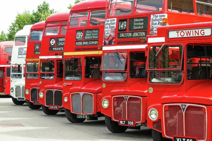 Framed Print : Routemaster buses parade at the 70th anniversary of the first Routemaster bus, RM1, London, England