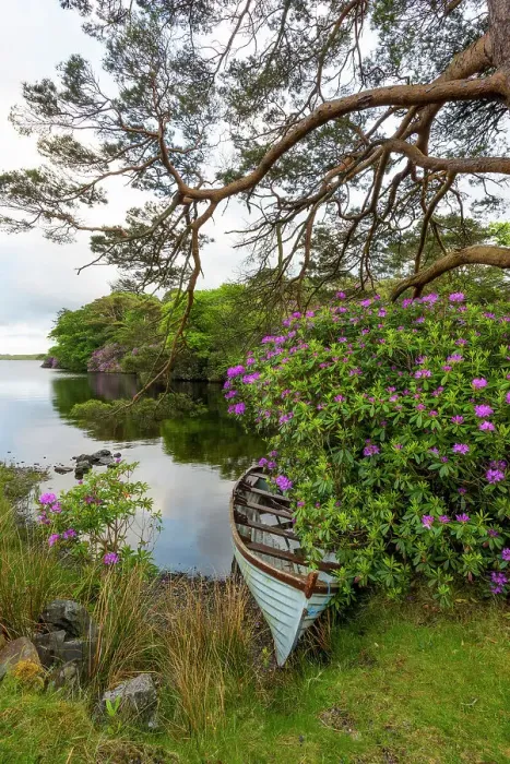 Framed Print : Rowing boat at lough fee on the renvyle peninsula, Connema, connacht region, Co Mayo, Europe Framed Print : Rowing boat at lough fee on the renvyle peninsula, Connema, connacht region, Co Mayo, Europe