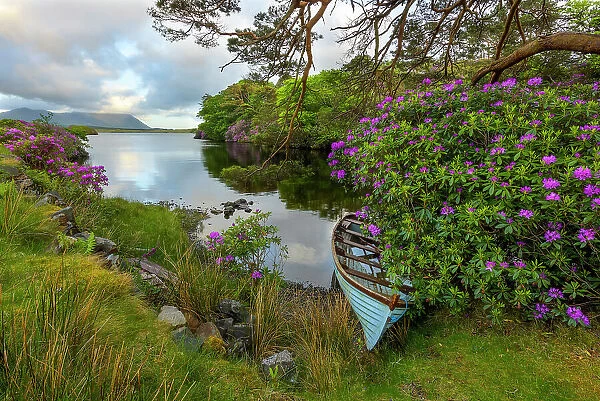 Rowing boat at lough fee on the renvyle peninsula, Connema, connacht region, Co Mayo, Europe