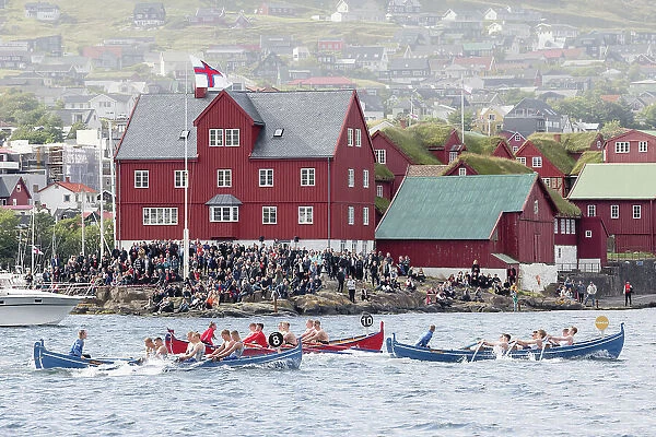 Rowing boats competition in occasion of 'lavsoka festival in the city of Torshavn. In the background the red buildings of Tinganes. Island of Streymoy. Faroe Islands