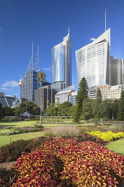 Royal Botanic Gardens and skyscrapers, Sydney, New South Wales, Australia