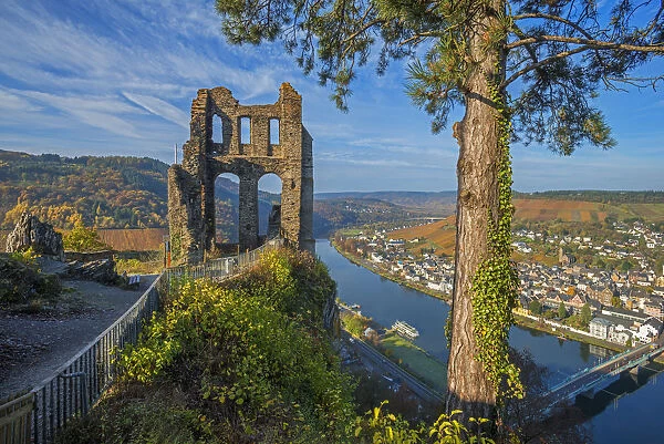 Ruin of Grevenburg with River Mosel, Traben-Trarbach, Rhineland-Palatinate, Germany