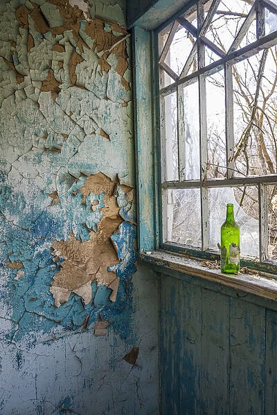 Ruined house in an abandoned village inside the Chernobyl Exclusion Zone, Ukraine