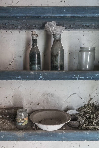 Ruined house in an Abandoned village inside the Chernobyl Exclusion Zone, Ukraine