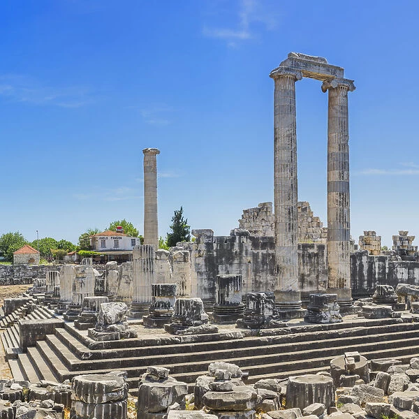 Ruins of ancient Temple of Apollo, Didyma, Aydin Province, Turkey