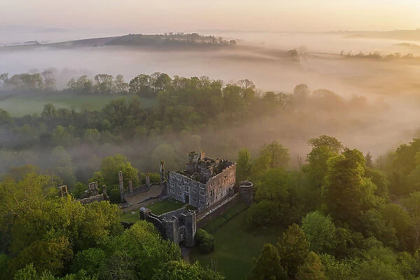 The ruins of Berry Pomeroy Castle at dawn on a misty morning, Devon, England. Spring (May) 2023