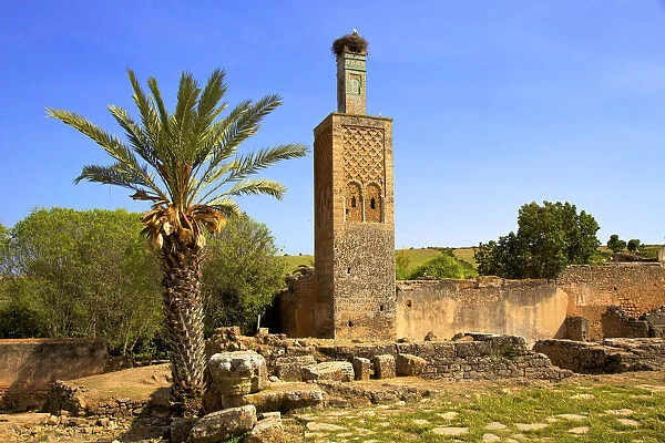 The Ruins of Chellah with Minaret, Rabat, Morocco, North Africa