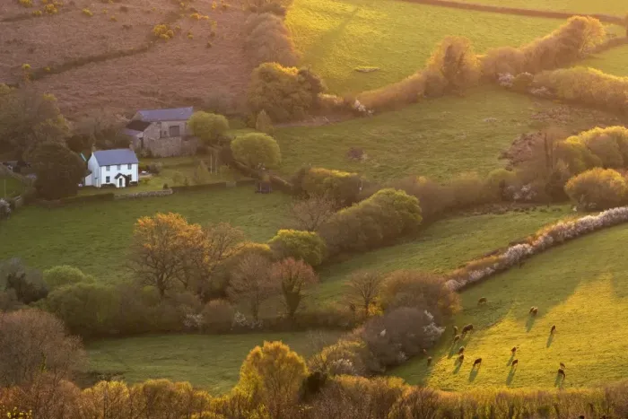 Framed Print : Rural cottage in idyllic countryside surroundings, Dartmoor National Park, Devon, England