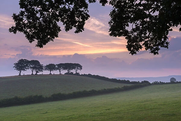 Rural countryside views at sunrise, Luccombe, Exmoor National Park, Somerset, England