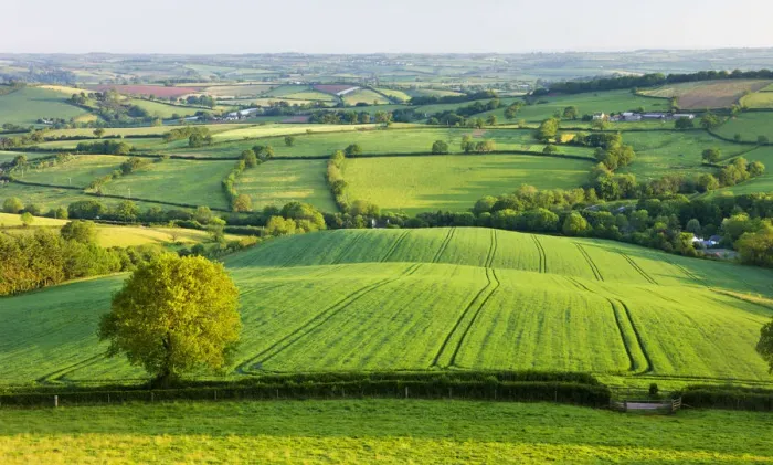 Framed Print : Rural English summer countryside scenes near Stockleigh Pomeroy, Devon, England. Summer