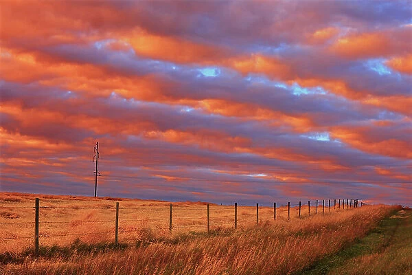 Rural landscape at sunset Grande Prairie, Alberta, Canada