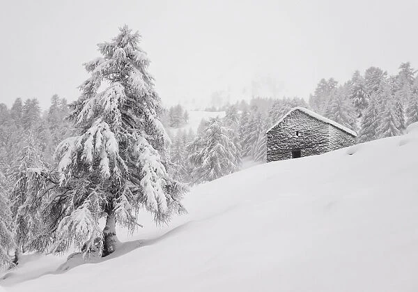 Rural pasture under the snow at Alpe Olano, Valgerola, Valtellina, Lombardy, Italy, Alps