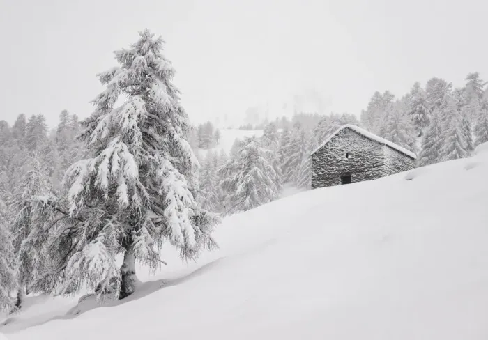 Framed Print : Rural pasture under the snow at Alpe Olano, Valgerola, Valtellina, Lombardy, Italy, Alps
