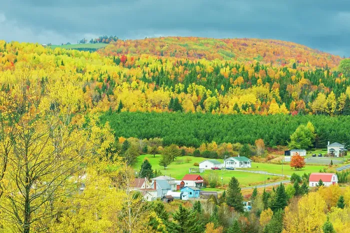 Framed Print : Rural scene and Mixedwood forest in autumn color St, Joseph, New Brunswick, Canada Framed Print : Rural scene and Mixedwood forest in autumn color St, Joseph, New Brunswick, Canada