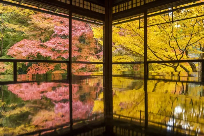 Framed Print : Rurikoin Temple Garden Reflection, Kyoto, Japan Framed Print : Rurikoin Temple Garden Reflection, Kyoto, Japan