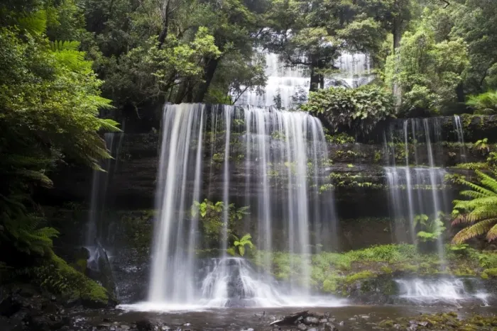 Framed Print : Russell Falls in Mount Field National Park