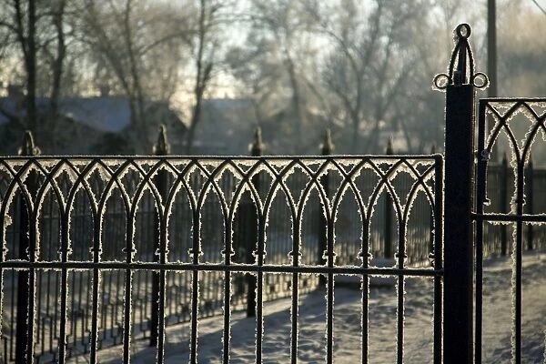 Russia; Siberia; Irkutsk; Frost on an iron gate early morning
