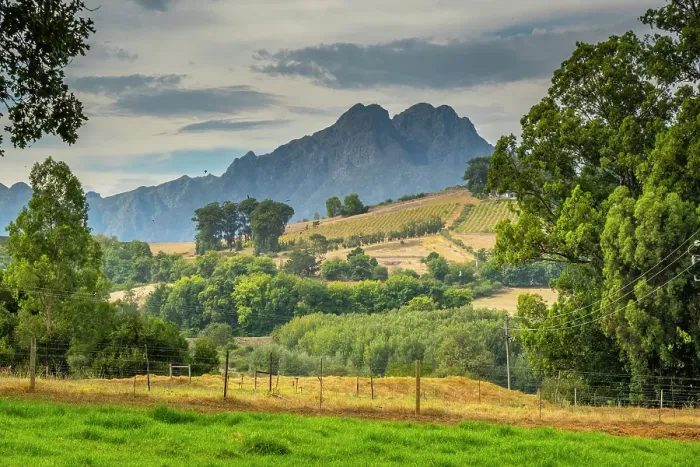 Framed Print : Rustenberg Wine Estate, Stellenbosch, Western Cape, South Africa Framed Print : Rustenberg Wine Estate, Stellenbosch, Western Cape, South Africa