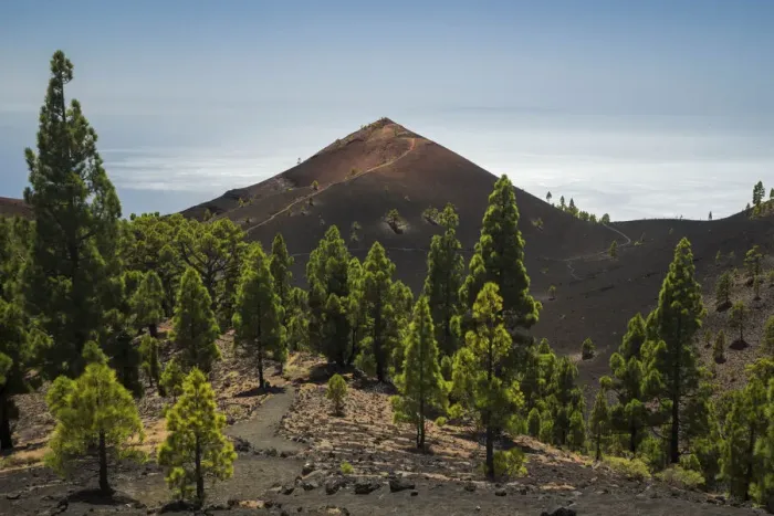Framed Print : Ruta de los Volcanes (Volcano Route). La Palma, Canary Framed Print : Ruta de los Volcanes (Volcano Route). La Palma, Canary
