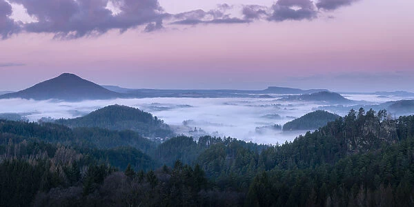 Ruzovsky vrch hill around fog and Jetrichovice at sunrise, Rynartice, Jetrichovice