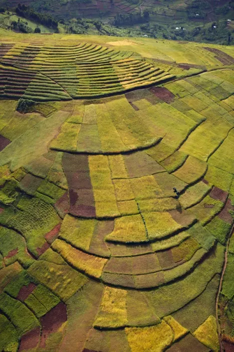 Framed Print : Rwanda. In the land of a thousand hills population density is at its highest Framed Print : Rwanda. In the land of a thousand hills population density is at its highest