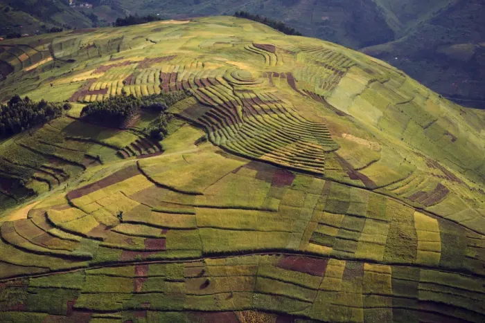 Framed Print : Rwanda. In the land of a thousand hills population density is at its highest Framed Print : Rwanda. In the land of a thousand hills population density is at its highest