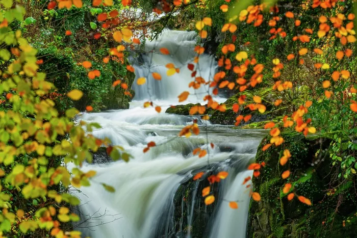 Framed Print : Rydal Beck in Autumn, Lake District National Park, Cumbria, England Framed Print : Rydal Beck in Autumn, Lake District National Park, Cumbria, England