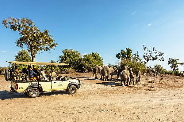 Safari in Chobe National Park, Botswana, Africa