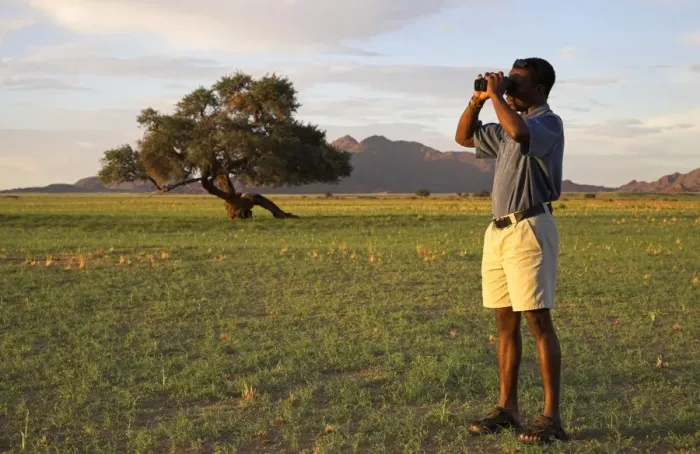 Framed Print : A safari guide scans the horizon with his binoculars Framed Print : A safari guide scans the horizon with his binoculars