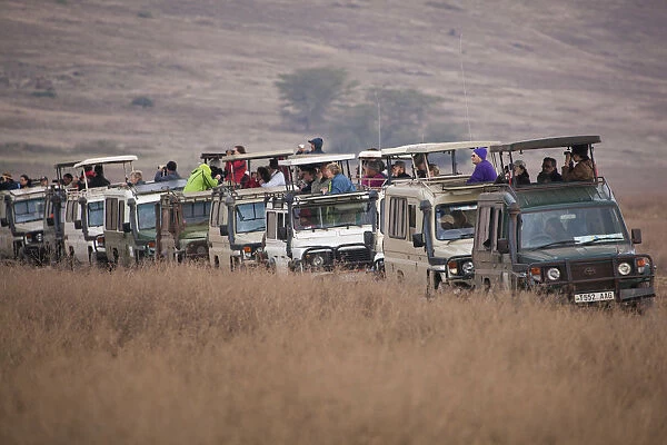 Safari tourists watching game on the Serengeti in Tanzania