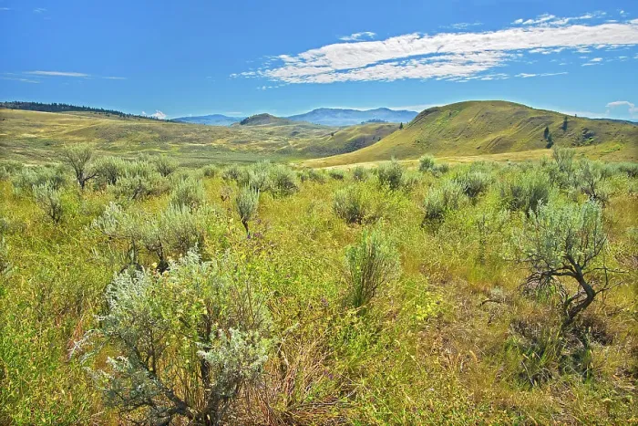 Framed Print : Sagebrush and Grasslands. Thompson Valley, Kamloops, British Columbia, Canada