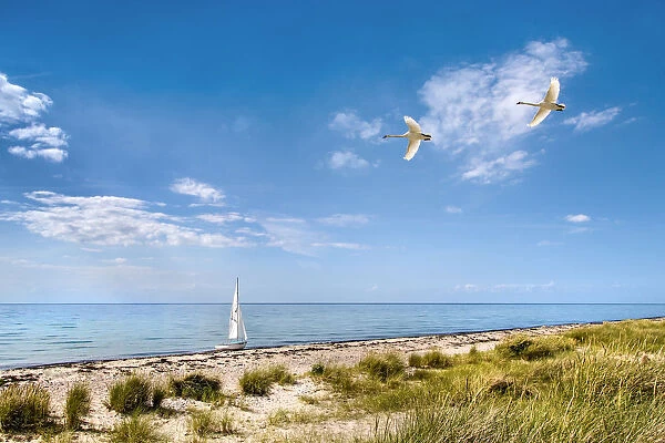 Sailing boat, beach, FlAogge, Fehmarn island, Baltic coast, Schleswig-Holstein, Germany