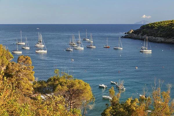 Sailing boats in the bay of Fetovaia, Elba Island, Livorno District, Tuscany, Italy