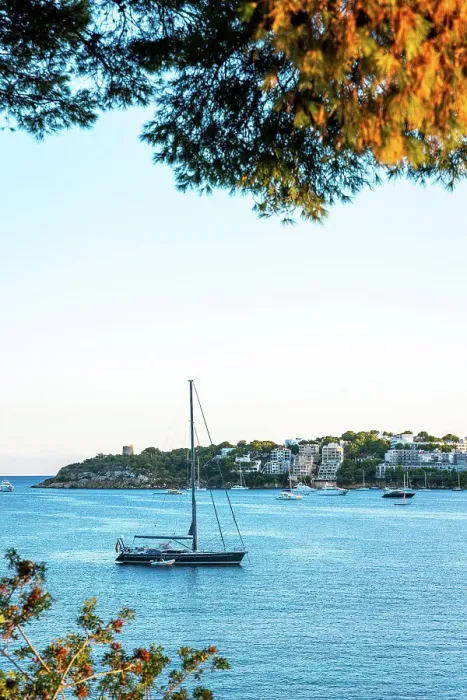 Framed Print : Sailing yacht anchored off the Palmanova beach, Mallorca, Spain Framed Print : Sailing yacht anchored off the Palmanova beach, Mallorca, Spain