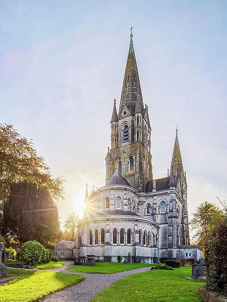 Saint Fin Barre's Cathedral at sunset, Cork, County Cork, Ireland