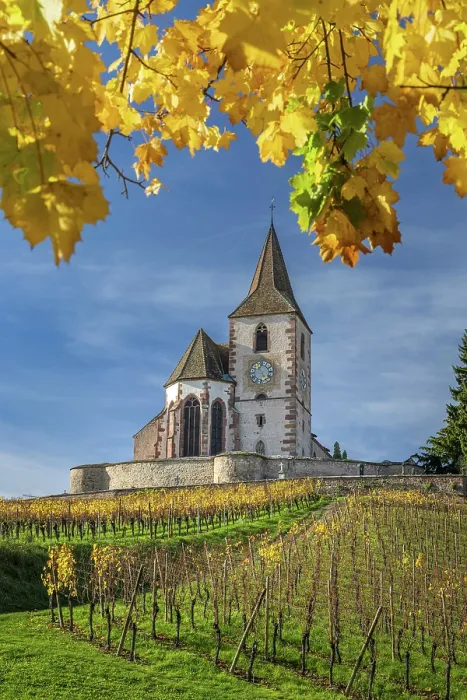Framed Print : Saint Jacques le Majeur fortified church, Hunawihr, Haut-Rhin, Alsace, Grand Est, France Framed Print : Saint Jacques le Majeur fortified church, Hunawihr, Haut-Rhin, Alsace, Grand Est, France