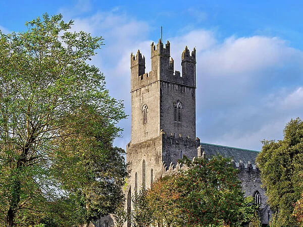 Saint Mary's Cathedral, Limerick, County Limerick, Ireland