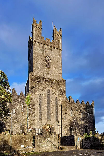 Saint Mary's Cathedral, Limerick, County Limerick, Ireland