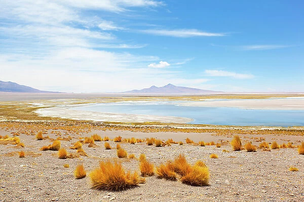 The 'Salar de Tara' salt flat landscape, El Loa province, Antofagasta Region, Chile