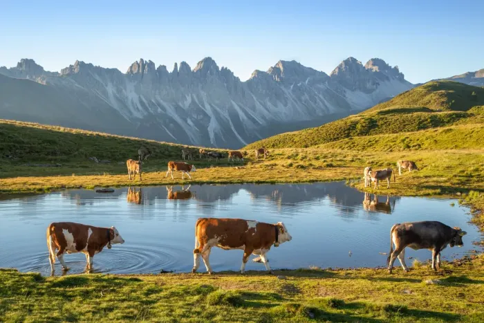 Framed Print : Salfeins Lake, Grinzens, Innsbruck Land, Tyrol, Austria