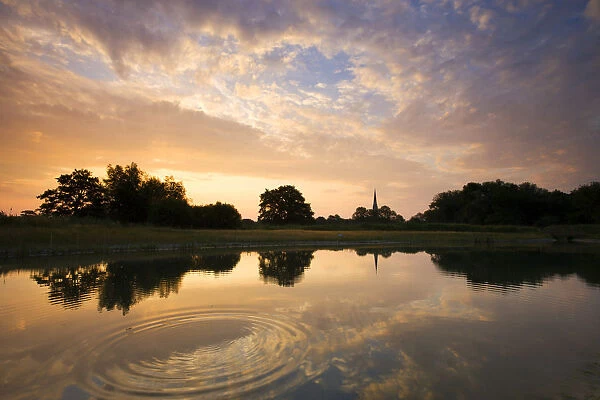 Salisbury Catedral reflected in a pond at dawn, Salisbury, Wiltshire, England. Summer