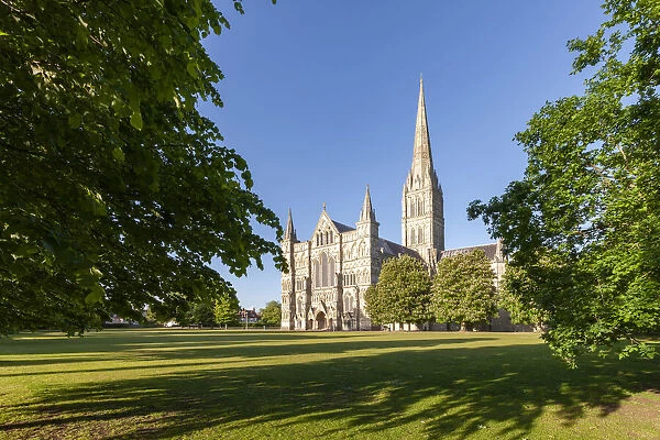 Salisbury Cathedral bathed in evening sunshine, Salisbury, Wiltshire, England