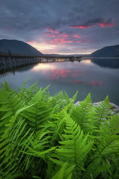 Framed Print : Salmon Arm, British Columbia, Canada Framed Print : Salmon Arm, British Columbia, Canada